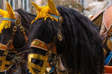 17 Eylül 2022 'de Münih, Almanya' da Covid-19 'da iki yıl durakladıktan sonra Ekim Festivali' nin açılış töreni. At arabaları ve orkestraları Oktoberfest geçit törenine katılıyor..