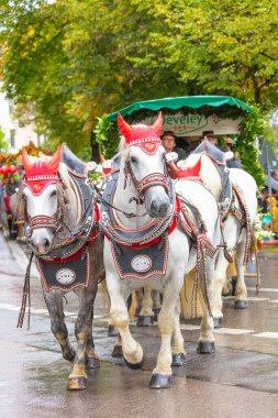 Almanya, Münih 18 Eylül 2022 Trachten- und Schtzenzug Ekim Festivali 2022 Covid-19 iki yıl sonra Münih, Almanya 'da durakladı. 