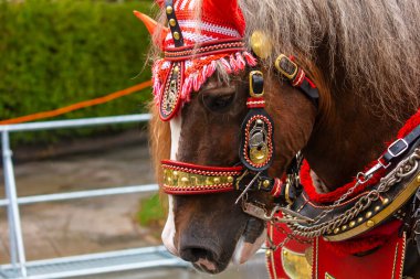 Almanya, Münih 18 Eylül 2022 Trachten- und Schtzenzug Ekim Festivali 2022 Covid-19 iki yıl sonra Münih, Almanya 'da durakladı. 