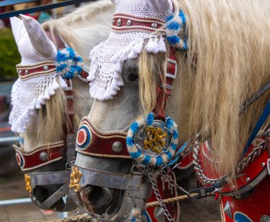 Ekim Festivali 'nin Trachten und Schtzenzug' u, Covid-19 'un Münih, Almanya' da geçirdiği iki yıldan sonra 2022 'de durdu.. 