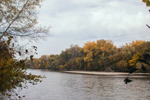 Річка Тлі Осіннього Лісу Природа Восени Теплий Осінній День — стокове фото