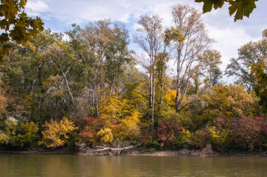 Sonbahar ormanının arka planındaki nehir. Sonbaharda doğa. Ilık sonbahar günü