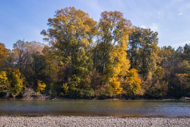 Sonbahar ormanının arka planındaki nehir. Sonbaharda doğa. Ilık sonbahar günü