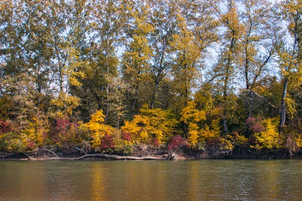 Der Fluss Hintergrund Des Herbstwaldes Die Natur Herbst Warmer Herbsttag — Stockfoto