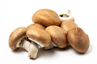 Beyaz arka planda kahverengi şampiyonlar. Şampiyon türü. Sağlıklı vejetaryen yemekleri.