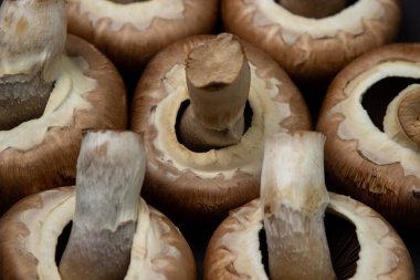 Siyah arka planda kahverengi şampiyonlar. Şampiyon türü. Sağlıklı vejetaryen yemekleri.