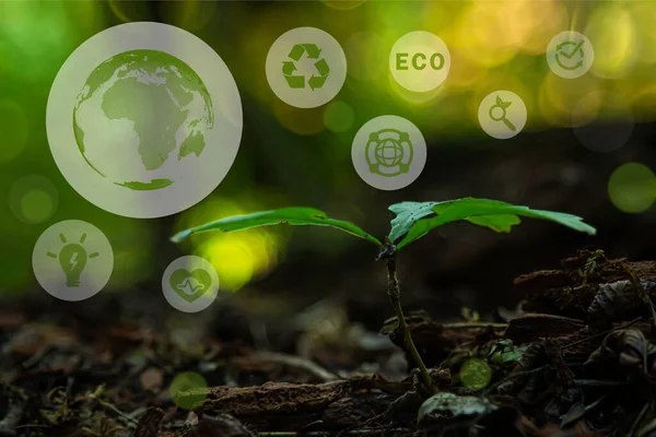 Ecology Environmental Conservation Concept Green World Pure Nature Icons Theme — Stock fotografie