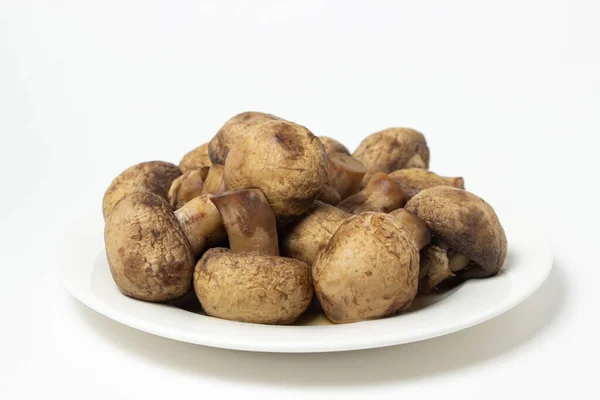 Boiled Mushrooms White Background Boiled Champignons White Plate Healthy Diet — Fotografie, imagine de stoc