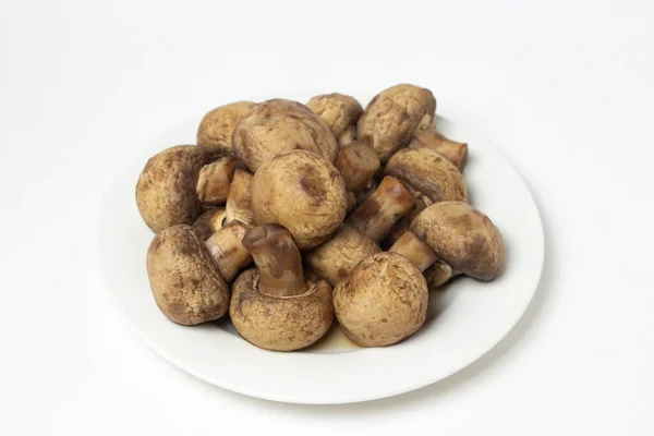 Boiled Mushrooms White Background Boiled Champignons White Plate Healthy Diet — Stock fotografie