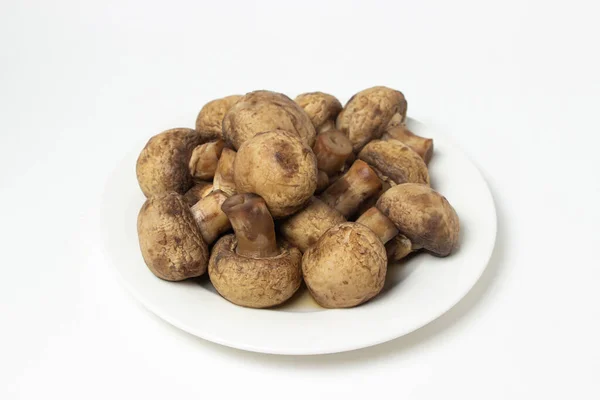 Boiled Mushrooms White Background Boiled Champignons White Plate Healthy Diet — Stock fotografie