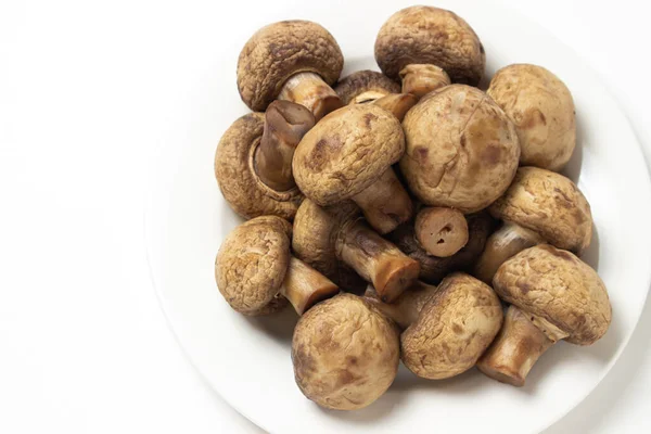 Boiled Mushrooms White Background Boiled Champignons White Plate Healthy Diet — стоковое фото