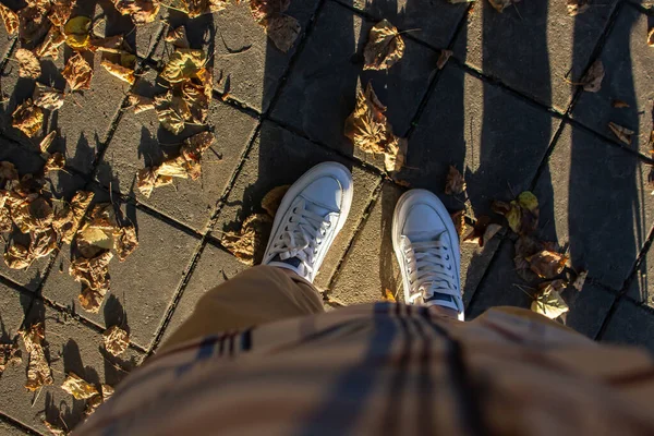Πάνω Όψη Των Ποδιών Κορίτσι Στέκεται Στο Πεζοδρόμιο Σκορπισμένο Φθινοπωρινά — Φωτογραφία Αρχείου