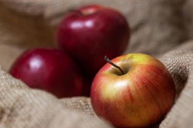 Düşük saha derinliğinde elmalar. Çuval bezinde kırmızı elma