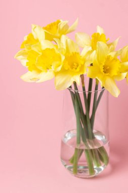 Pembe arka planda cam vazodaki nergisler. Bahar çiçekleri. Küçük buket