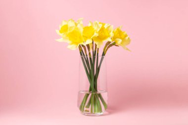 Pembe arka planda cam vazodaki nergisler. Bahar çiçekleri. Küçük buket