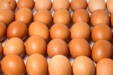 Beyaz arka planda bir sürü tavuk yumurtası var. Çiğ tavuk yumurtası..