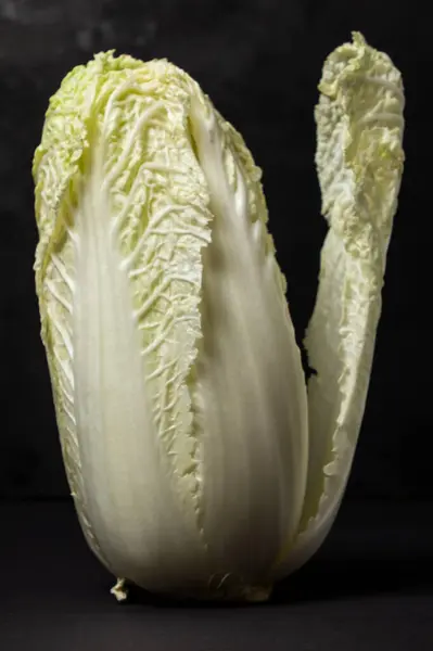 Beijing Cabbage Black Background Fresh Healthy Vegetable Cabbage Variety — Foto de Stock