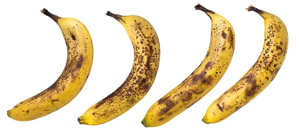 Overripe Bananas Isolated White Background Bananas Black Dots — Fotografia de Stock