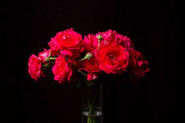 Beyaz arka planda kırmızı güller. Bir buket kırmızı gül. Güzel çiçekler.