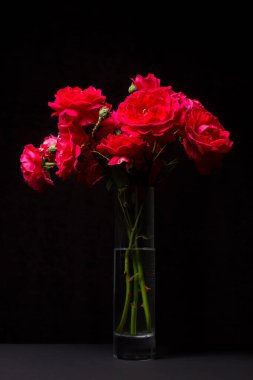 Beyaz arka planda kırmızı güller. Bir buket kırmızı gül. Güzel çiçekler.