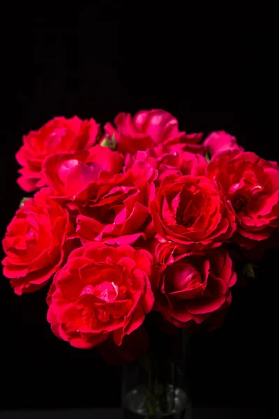 Roses Rouges Sur Fond Blanc Bouquet Roses Rouges Belles Fleurs — Photo