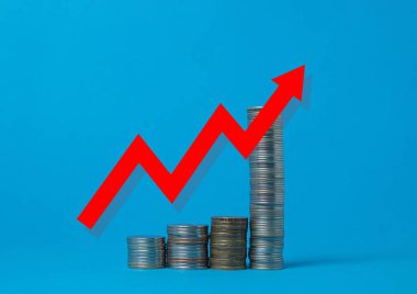 Faiz oranı ve kar payı kavramı. Hisse senedi ve yatırım fonlarından geri dönüş, emeklilik için uzun vadeli yatırım.