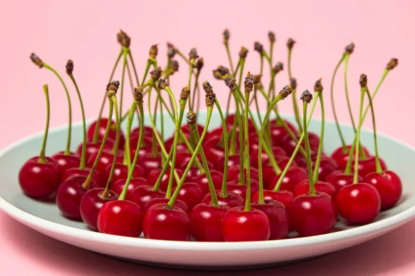 Cherries Plate Pink Background Fresh Ripe Cherry Summer Fruit — Stock Photo, Image