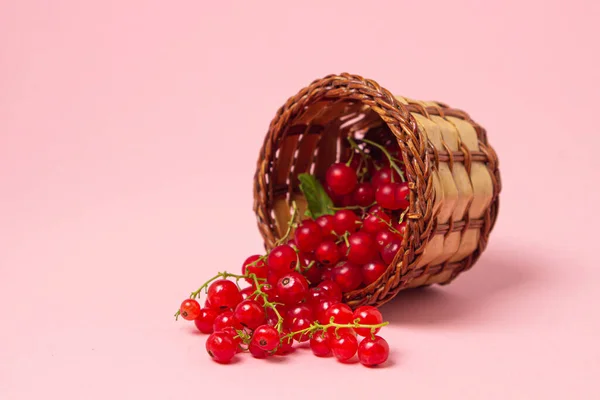 Rote Johannisbeere Einem Korb Auf Rosa Hintergrund Frische Reife Rote — Stockfoto
