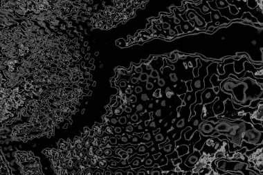 Soyut arkaplan. Monokrom dokusu. Resim siyah ve beyaz tonları içerir.
