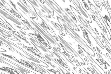 Soyut arkaplan. Monokrom dokusu. Resim siyah ve beyaz tonları içerir.