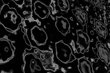 Soyut arkaplan. Monokrom dokusu. Resim siyah ve beyaz tonları içerir.