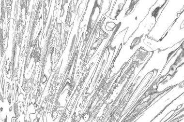 Soyut arkaplan. Monokrom dokusu. Resim siyah ve beyaz tonları içerir.