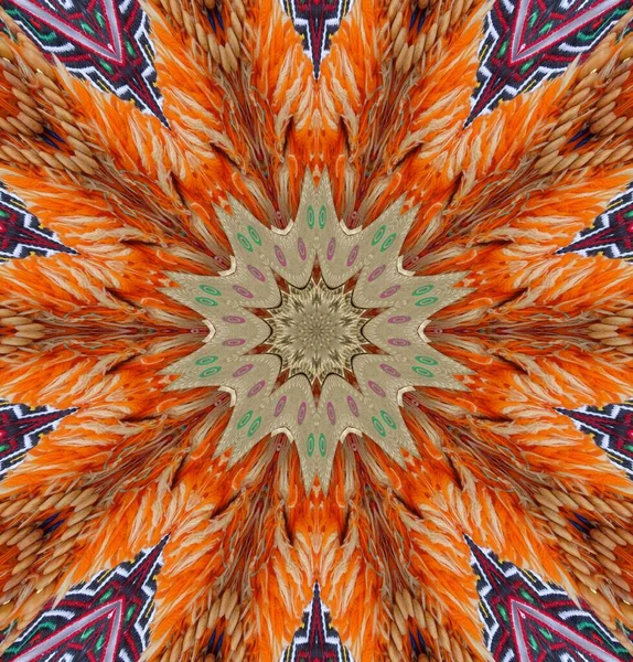 Kaleidoscope Background Multi Colored Texture Illustration — Stock Photo, Image