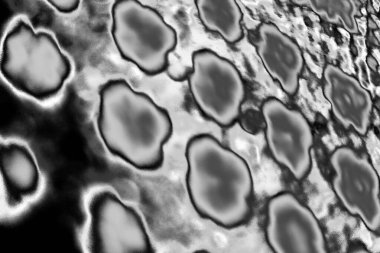 Soyut arkaplan. Monokrom dokusu. Resim siyah ve beyaz tonları içerir.