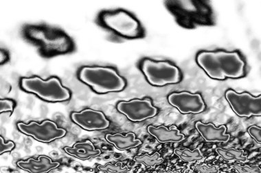 Soyut arkaplan. Monokrom dokusu. Resim siyah ve beyaz tonları içerir.