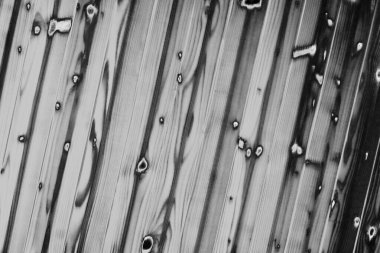 Soyut arkaplan. Monokrom dokusu. Resim siyah ve beyaz tonları içerir.