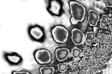 Soyut arkaplan. Monokrom dokusu. Resim siyah ve beyaz tonları içerir.