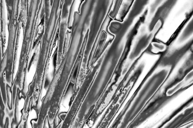 Soyut arkaplan. Monokrom dokusu. Resim siyah ve beyaz tonları içerir.