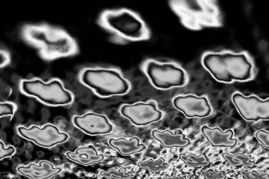 Soyut arkaplan. Monokrom dokusu. Resim siyah ve beyaz tonları içerir.