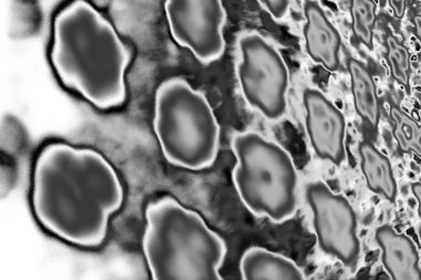 Soyut arkaplan. Monokrom dokusu. Resim siyah ve beyaz tonları içerir.