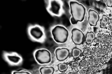 Soyut arkaplan. Monokrom dokusu. Resim siyah ve beyaz tonları içerir.