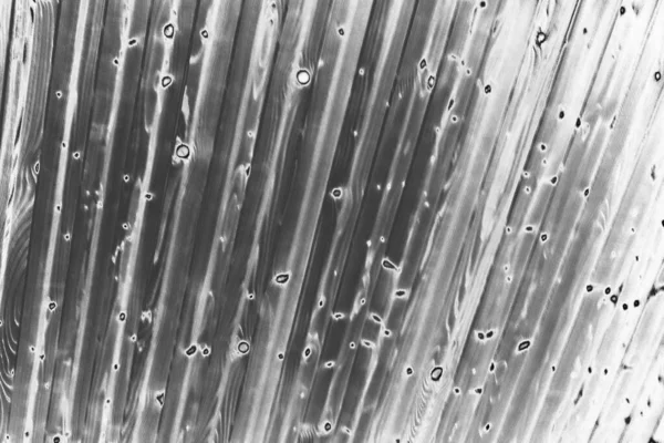 Soyut arkaplan. Monokrom dokusu. Resim siyah ve beyaz tonları içerir.