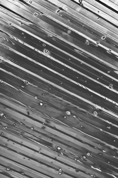 Soyut arkaplan. Monokrom dokusu. Resim siyah ve beyaz tonları içerir.