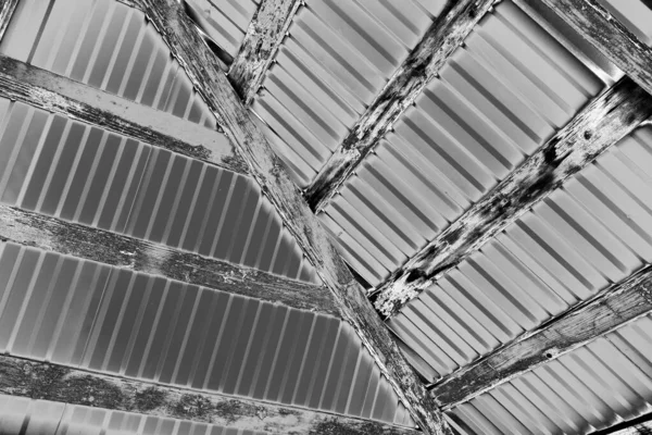 Soyut arkaplan. Monokrom dokusu. Resim siyah ve beyaz tonları içerir.