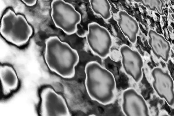 Soyut arkaplan. Monokrom dokusu. Resim siyah ve beyaz tonları içerir.