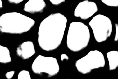 Soyut arkaplan. Monokrom dokusu. Resim siyah ve beyaz tonları içerir.