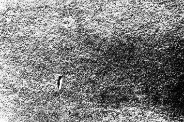 Soyut arkaplan. Monokrom dokusu. Resim siyah ve beyaz tonları içerir.