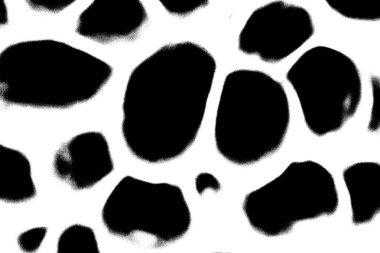 Soyut arkaplan. Monokrom dokusu. Resim siyah ve beyaz tonları içerir.