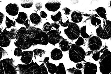 Soyut arkaplan. Monokrom dokusu. Resim siyah ve beyaz tonları içerir.