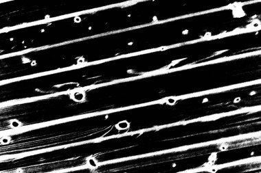 Soyut arkaplan. Monokrom dokusu. Resim siyah ve beyaz tonları içerir.